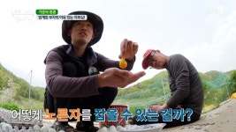 양계장 부자의 이유 있는 자부심! MBN 210511 방송 - kakaoTV  양계장 부자의 이유 있는 자부심! MBN 210511 방송