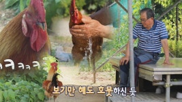‘케미 폭발’ 할아버지♥꼬꼬, 깨 쏟아지는 환상의 커플! - kakaoTV ‘케미 폭발’ 할아버지♥꼬꼬, 깨 쏟아지는 환상의 커플!
