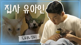 《스페셜》 도비 & 장비 집사 유아인의 하루! - kakaoTV 《스페셜》 도비 & 장비 집사 유아인의 하루!