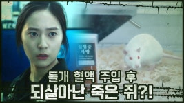 ※미스터리※ 들개 혈액 주입 후 되살아난 죽은 쥐?! - kakaoTV ※미스터리※ 들개 혈액 주입 후 되살아난 죽은 쥐?!