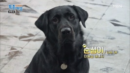 서울 해방촌에 소문난 명물이 있다?? - kakaoTV 서울 해방촌에 소문난 명물이 있다??