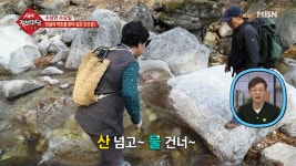 전설의 약초를 찾아 깊은 산속으로! - kakaoTV 전설의 약초를 찾아 깊은 산속으로!