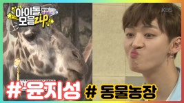 [워너원&슈돌] 윤이모 윤지성의 동물농장 개인기★ [아이돌모음ZIP] - kakaoTV [워너원&슈돌] 윤이모 윤지성의 동물농장 개인기... 