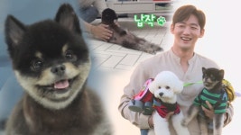 [스페셜] 귀염뽀짝! 심장 아프게 만드는 ♥상남犬 카오♥ - kakaoTV [스페셜] 귀염뽀짝! 심장 아프게 만드는 ♥상남犬 카오♥