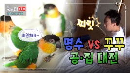 [다큐하우스] [선공개 - 공유의집 2회] 명수 vs 꾸꾸 공·집대전! (오늘밤 10시5분 방송) - kakaoTV [다큐하우스] [선공개 - 공유의집 2회] 명수... 