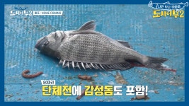 ※역시 어복은 이.경.규※ 오늘 첫 감성돔 개시! 메인 플라워호의 첫 조기까지...? - kakaoTV ※역시 어복은 이.경.규※ 오늘 첫 감성돔 개시!... 