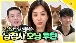 《스페셜》 유아인X정려원X윤균상ㅣ🧡고양이와 함께하는 냥집사들의 모닝 루틴🌅😺, MBC 200619 방송 - kakaoTV 《스페셜》... 