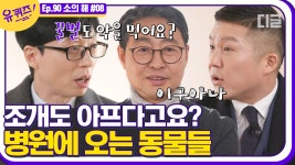 조개도 아픔을 느끼고 꿀벌도 약을 먹는다니😲 병원을 찾아오는 특이한 동물들│#디글 #유퀴즈온더블럭 | CJ ENM 210120 방송 - kakaoTV... 