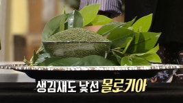 몰로키아, 클레오파트라도 즐겨먹은 ‘왕의 채소’ (닥터필생기) - kakaoTV 몰로키아, 클레오파트라도 즐겨먹은 ‘왕의 채소’ (닥터필생기)