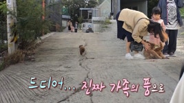 길 잃은 ‘마루’의 은신처가 되어주신 아주머니에 작별인사... 길 잃은 ‘마루’의 은신처가 되어주신 아주머니에 작별인사☆