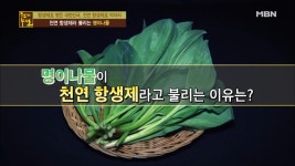 염증 잡는 최고의 천연 항생제, 명이나물! - kakaoTV 염증 잡는 최고의 천연 항생제, 명이나물!