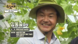 함평 단호박의 재배 기술은 내가 알린다! 김동표 과장 - kakaoTV 함평 단호박의 재배 기술은 내가 알린다! 김동표 과장
