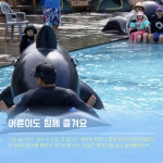 넘나 기다려왔던 호텔정관루 물놀이정원!!! - kakaoTV 넘나 기다려왔던 호텔정관루 물놀이정원!!!
