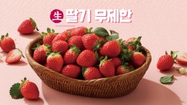 1월 9일, 지금 절정의 맛 딸기가 쏟아진다! 딸기축제! - kakaoTV 1월 9일, 지금 절정의 맛 딸기가 쏟아진다! 딸기축제!