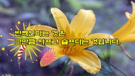 빛난 - kakaoTV 빛난