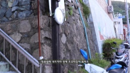 누리바라기 - kakaoTV 누리바라기