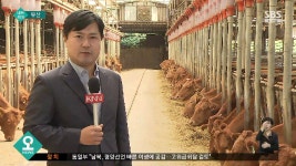 [부산] 한우 사료비만 37% 차지..사육기간↓ 신기술 개발 - kakaoTV [부산] 한우 사료비만 37% 차지..사육기간↓ 신기술 개발