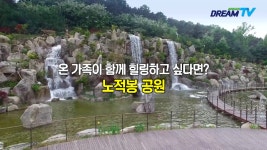[안산꿀팁] 도심속 물놀이 핫플레이스 - kakaoTV [안산꿀팁] 도심속 물놀이 핫플레이스