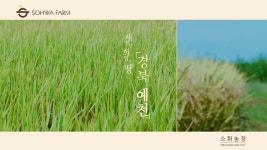 소화농장 소개 - kakaoTV 소화농장 소개