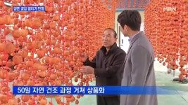 [충남] 주렁주렁 황금색 물결..양촌 곶감 말리기 한창 - kakaoTV [충남] 주렁주렁 황금색 물결..양촌 곶감 말리기 한창