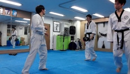 빠른발차기+나래차기 하는 성인 어른과 청춘남녀 태권도회원들 - kakaoTV 빠른발차기+나래차기 하는 성인 어른과 청춘남녀 태권도회원들