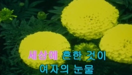 주현미/정으로 사는 세상 - kakaoTV 주현미/정으로 사는 세상