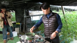 [식삶레시피] 강레오 셰프의 대저 토마토 새우 칵테일 - kakaoTV [식삶레시피] 강레오 셰프의 대저 토마토 새우 칵테일