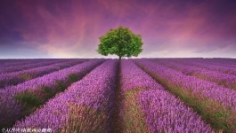 베르디 - 축배의 노래 & 여자의 마음 & 대장간의 합창 - kakaoTV 베르디 - 축배의 노래 & 여자의 마음 & 대장간의 합창