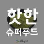 [내몸에약초]알찬 영양소 핫한 슈퍼푸드 새싹보리 - kakaoTV [내몸에약초]알찬 영양소 핫한 슈퍼푸드 새싹보리
