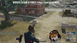 [댕댕수면실] 배틀그라운드 연습 (1080p) #아데드 #수면실 #게임_10 - kakaoTV [댕댕수면실] 배틀그라운드 연습 (1080p) #아데드 #수면실... 