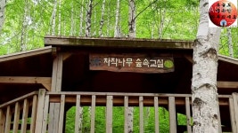 곰배령 - kakaoTV 곰배령