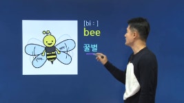 초등3학년영어 고민이라면? 영어단어추천 이 책만 봐! - kakaoTV 초등3학년영어 고민이라면? 영어단어추천 이 책만 봐!