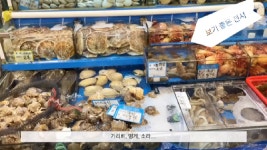 노량진 수산시장 구경 - kakaoTV 노량진 수산시장 구경