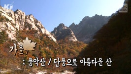 [영상] 봄 금강, 가을 풍악..찾아가자 일만이천봉 - kakaoTV [영상] 봄 금강, 가을 풍악..찾아가자 일만이천봉