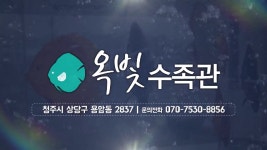 279_청주수족관_옥빛수족관_청주옥빛수족관_청주용암동수족관_옥빛수족관 - kakaoTV 279_청주수족관_옥빛수족관_청주옥빛수족관... 