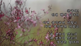 내 멋진 친구들에게(no 3) - kakaoTV 내 멋진 친구들에게(no 3)