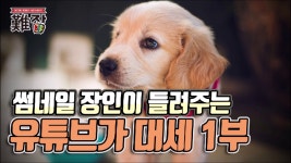 [시즌2 249회①] 애견미용잡지 편집디자이너가 들려주는 직업 이야기와 네이버보다 유튜브가 대세인 이유 1부 - kakaoTV [시즌2 249회①]... 
