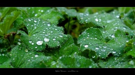 1분 거센 빗소리 쏴아아~비소리 천둥소리 힐링 숙면 백색소음 asmr b - kakaoTV 1분 거센 빗소리 쏴아아~비소리 천둥소리 힐링 숙면... 