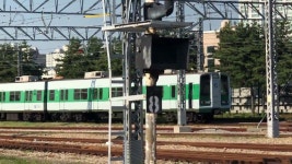 서울교통공사 군자차량기지안에 배불뚝이 - kakaoTV 서울교통공사 군자차량기지안에 배불뚝이