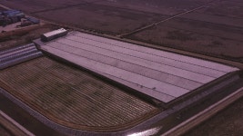 새들만 육묘장 건설 영상 - kakaoTV 새들만 육묘장 건설 영상