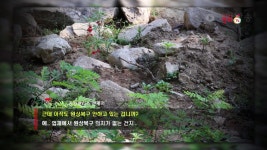 양파깡문_팔공산맥섬석유스호스텔 자연훼손, 눈속임용 복구현장 - kakaoTV 양파깡문_팔공산맥섬석유스호스텔 자연훼손, 눈속임용 복구현장