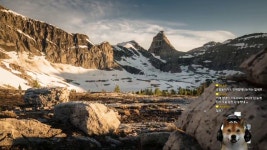 [댕댕수면실] 매든 NFL 커리어_01 - kakaoTV [댕댕수면실] 매든 NFL 커리어_01