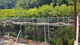 솔미농장펜션에서 업로드한 동영상 - kakaoTV 솔미농장펜션에서 업로드한 동영상