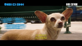 영화 [해피 디 데이] 시사회 이벤트 - kakaoTV 영화 [해피 디 데이] 시사회 이벤트