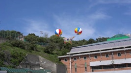 동아고등학교 총동창회 체육대회 행사참여 후기 - kakaoTV 동아고등학교 총동창회 체육대회 행사참여 후기