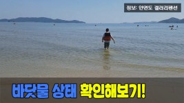 바람아래해수욕장 2017 - kakaoTV 바람아래해수욕장 2017