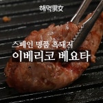 스페인 명품 흑돼지 이베리코 베요타 🐷 - kakaoTV 스페인 명품 흑돼지 이베리코 베요타 🐷