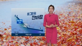 [날씨] 오후 비 남부로 확대..내륙 곳곳 첫눈 내릴 듯 - kakaoTV [날씨] 오후 비 남부로 확대..내륙 곳곳 첫눈 내릴 듯