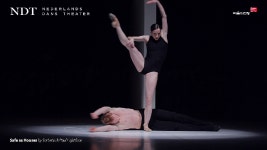  내한공연 작품소개 그 마지막! - kakaoTV  내한공연 작품소개 그 마지막!