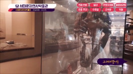 [서울 서대문] 서대문자연사박물관 - 로얄싸롱 - 아이랑(서대문키즈헬스케어센터) #아이와함께 - kakaoTV [서울 서대문] 서대문자연사박물관... 